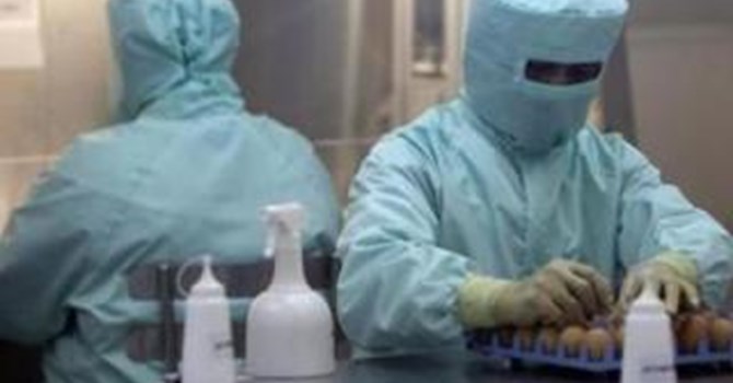 Mexico ghi nhận trường hợp đầu tiên mắc hội chứng thần kinh Perry hiếm gặp