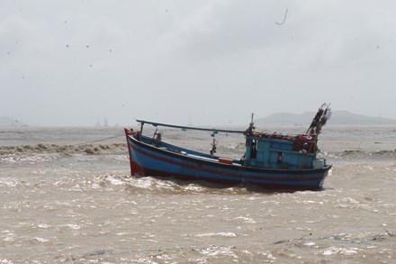 Ảnh hưởng của áp thấp Nhiều tàu cá của Khánh Hòa bị nạn trên vùng biển Nha Trang