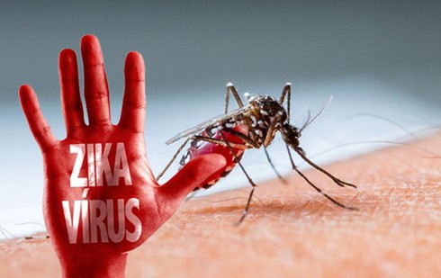 Thêm một bang của Mỹ thông báo trường hợp nhiễm Zika trong nước