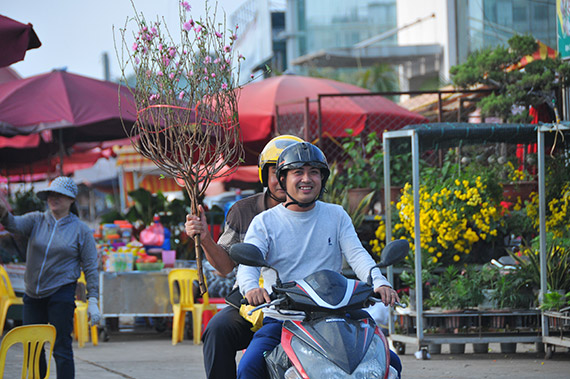 Tết sớm trên làng hoa Nhật Tân