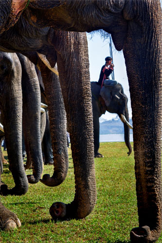 Công bố kết quả Giải thưởng “Nhiếp ảnh Heritage 2016”
