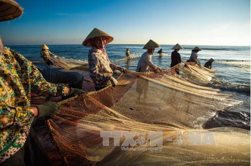 Hiệu quả mô hình phụ nữ vùng biển liên kết phát triển kinh tế