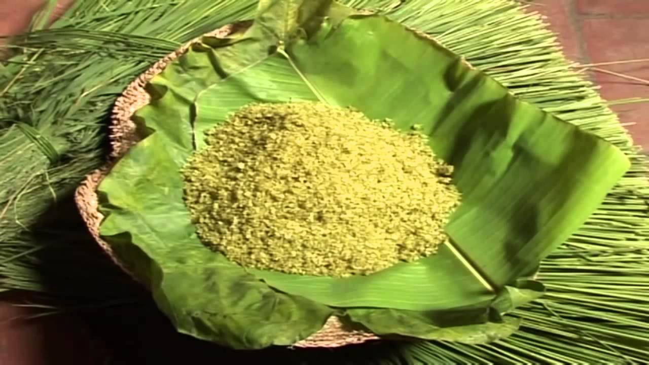 Hội thảo “Phát triển thị trường và thương hiệu sản phẩm thông qua chỉ dẫn địa lý”