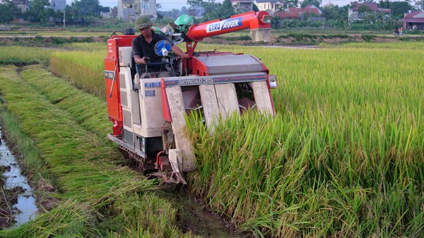 Tăng cường sự lãnh đạo của Đảng đối với cuộc vận động Toàn dân đoàn kết xây dựng nông thôn mới, đô thị văn minh