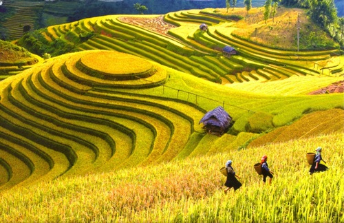 Sa Pa, Đà Lạt là điểm đến mới nổi châu Á 2017