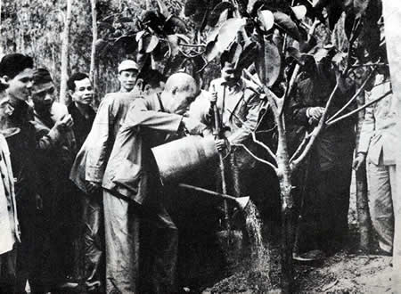 Chủ tịch Hồ Chí Minh và những câu đối Tết