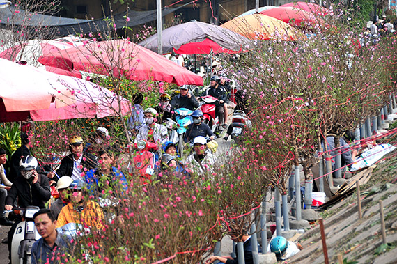Người dân chen chân ở chợ hoa Tết Quảng An