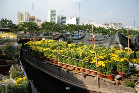 Xuân về trên đất phương Nam