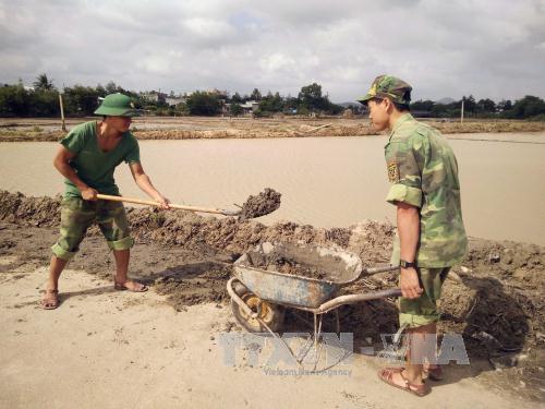 Bộ đội giúp dân khôi phục sản xuất sau lũ