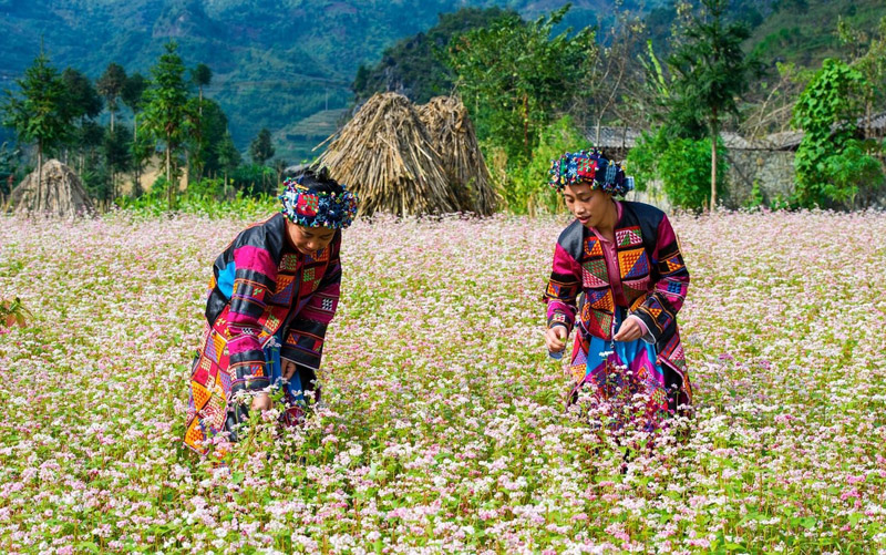 Đầu năm đi phượt Hà Giang
