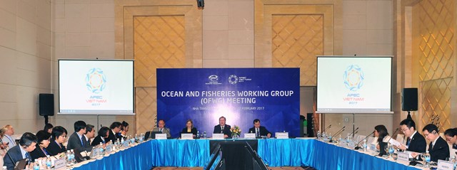 Phát triển bền vững nghề cá, bảo vệ môi trường biển, thích ứng với biến đổi khí hậu