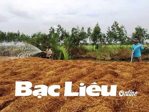 Nông dân và niềm vui đầu năm