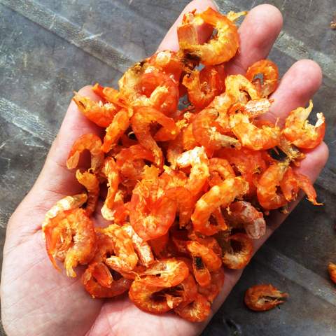 Phát triển ngành tôm Cơ hội và thách thức