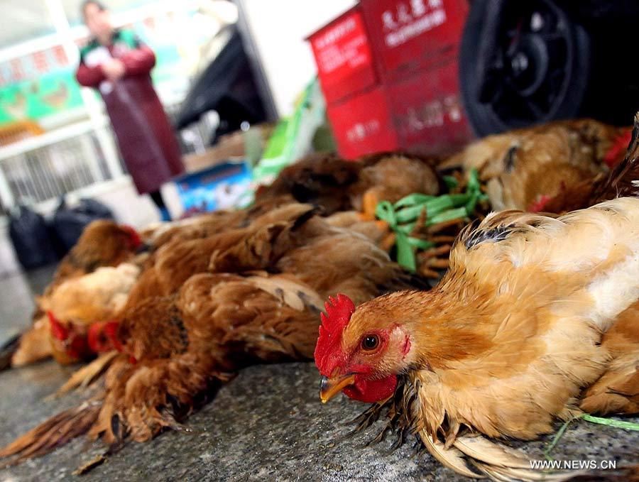 Trung Quốc đẩy mạnh biện pháp ngăn chặn cúm H7N9