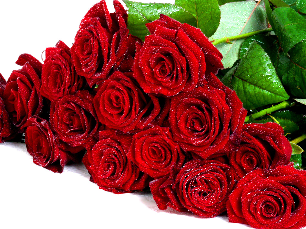 Mỗi ngày trao gửi yêu thương