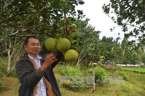 Du lịch xanh Chìa “khoá” phát triển du lịch bền vững