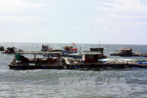 Hòn Nghệ - xã đảo giàu tiềm năng