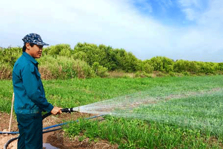 Anh Huỳnh Bảo Trung Đảng viên làm kinh tế giỏi