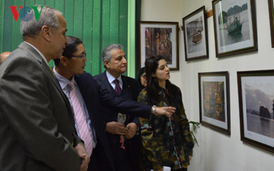 Ngày Văn hóa Việt Nam tại Ai Cập