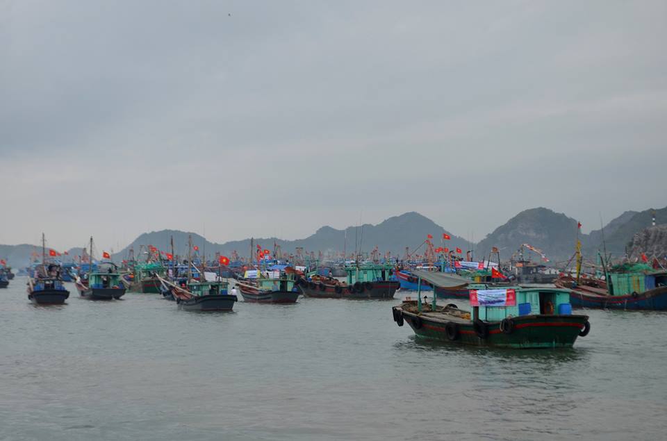 Lễ hội ra khơi bám biển năm 2017