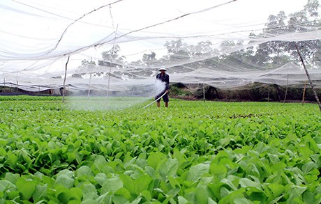 Bài 3 Mô hình quan hệ sản xuất nông nghiệp nào là phù hợp