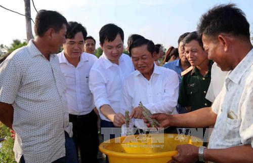Cà Mau cần chú trọng phát triển kinh tế biển gắn với đảm bảo quốc phòng, an ninh