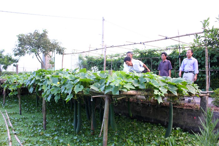 Nét mới trong việc đưa Nghị quyết vào cuộc sống ở Đảng bộ tỉnh Ninh Bình
