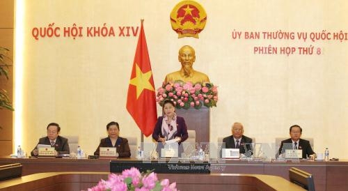 Chính phủ giữ quan điểm vẫn chưa giải quyết đơn tố cáo nặc danh