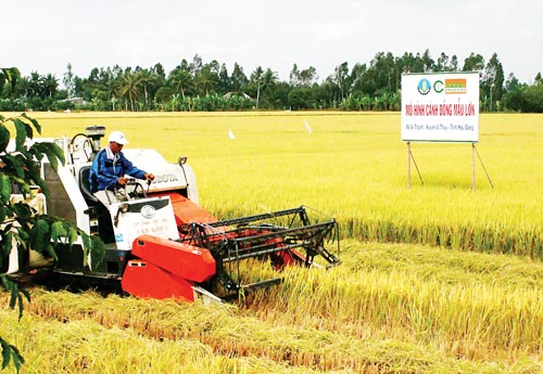 Con đường tái cấu trúc nông nghiệp Việt Nam Bài 2 Động lực mới cho phát triển kinh tế nông nghiệp