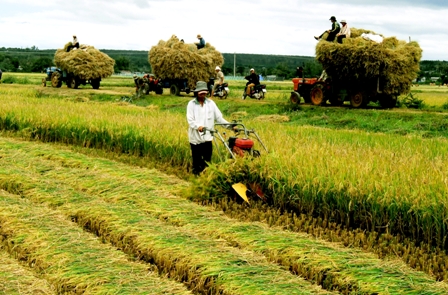 Con đường tái cấu trúc nông nghiệp Việt Nam Bài 1 Ngữ cảnh và những bài học kinh nghiệm