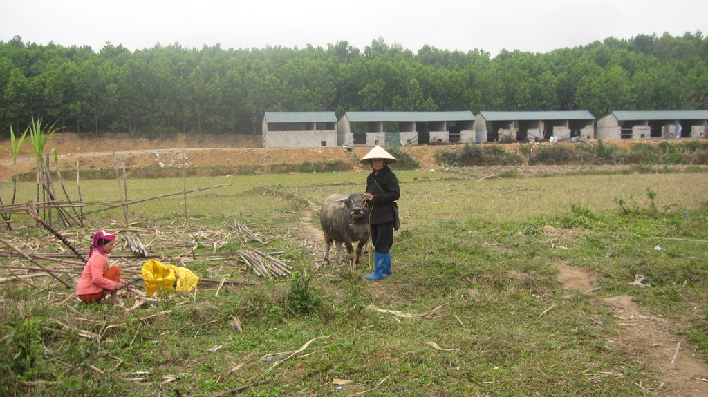 Giúp đồng bào biên giới xây dựng khu chăn nuôi tập trung