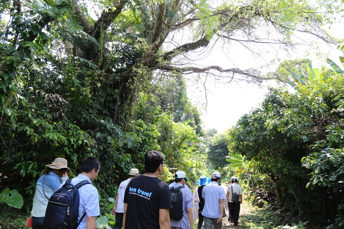 Khai thác thử nghiệm tour du lịch ra đảo Cồn Cỏ bằng tàu cao tốc