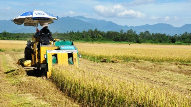 Tạo thuận lợi nhất để thu hút doanh nghiệp đầu tư vào nông nghiệp