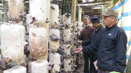 Trở thành tỷ phú từ nguồn phế thải nông nghiệp