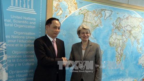 UNESCO đánh giá cao đóng góp thiết thực của Việt Nam