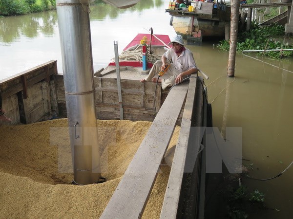 Xuất khẩu gạo lại rơi vào vòng xoáy trầm lắng