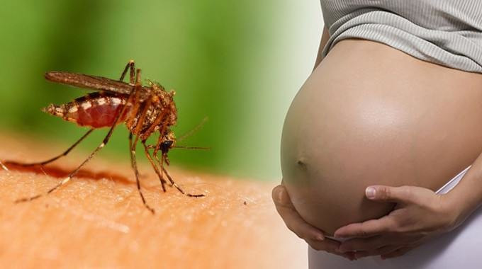 Ghi nhận ca nhiễm virus Zika đầu tiên tại Đài Loan Trung Quốc trong năm nay