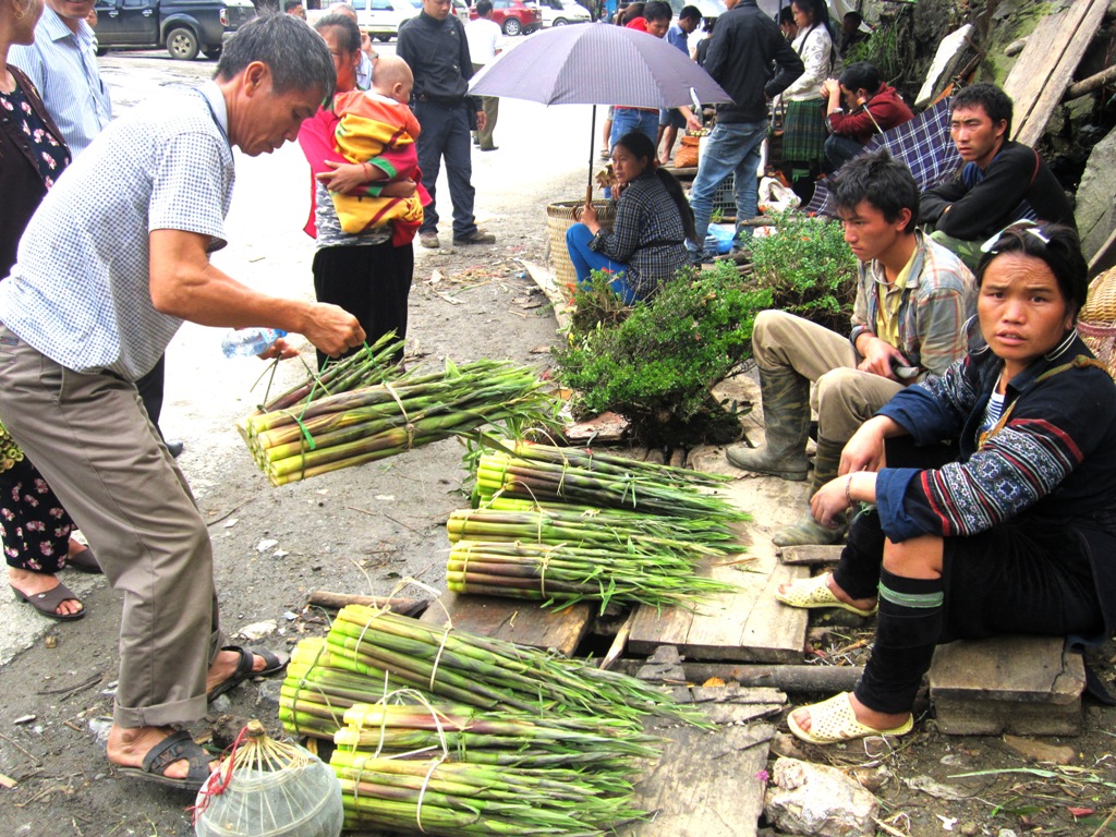Tây Bắc mùa măng rừng