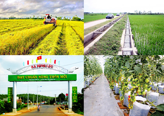 Tác phẩm Đời sống mới với việc xây dựng nông thôn mới và văn minh đô thị trong giai đoạn hiện nay