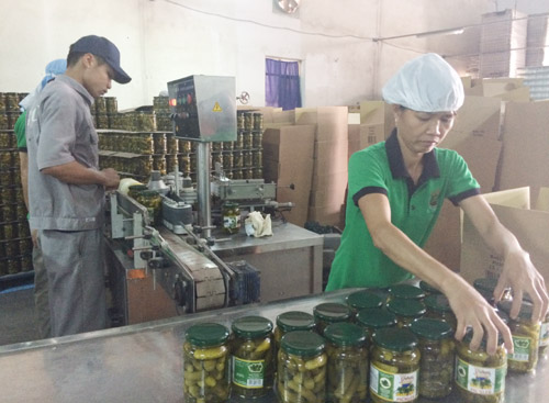 Triển khai ba mũi tấn công “chấn hưng” nền kinh tế