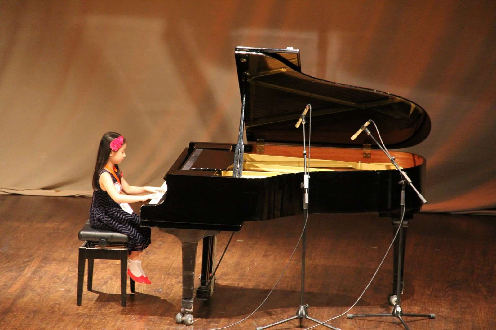 Âm nhạc học là gì