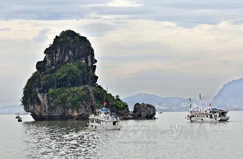 Bảo tồn và phát huy giá trị di sản thiên nhiên thế giới vịnh Hạ Long