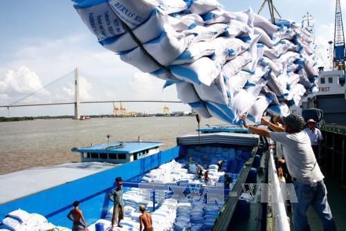 FAO dự báo Việt Nam thuộc tốp 5 nước có sản lượng gạo lớn nhất năm 2017