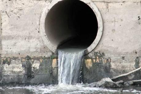 Hưng Yên Công ty Phương Đông lại bị phạt hơn 300 triệu đồng vì xả thải gây ô nhiễm