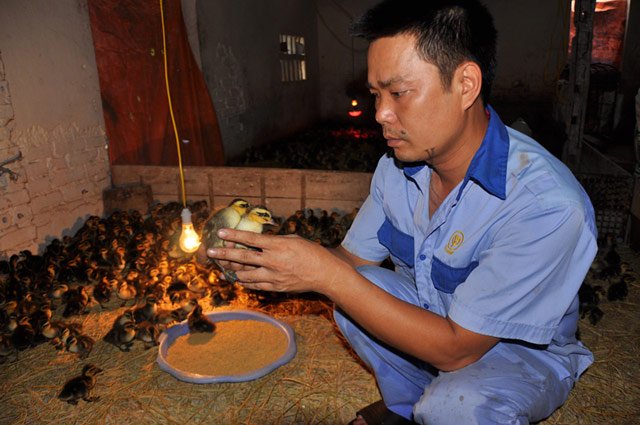 Con đường trở thành tỷ phú của chàng thanh niên thuần nông