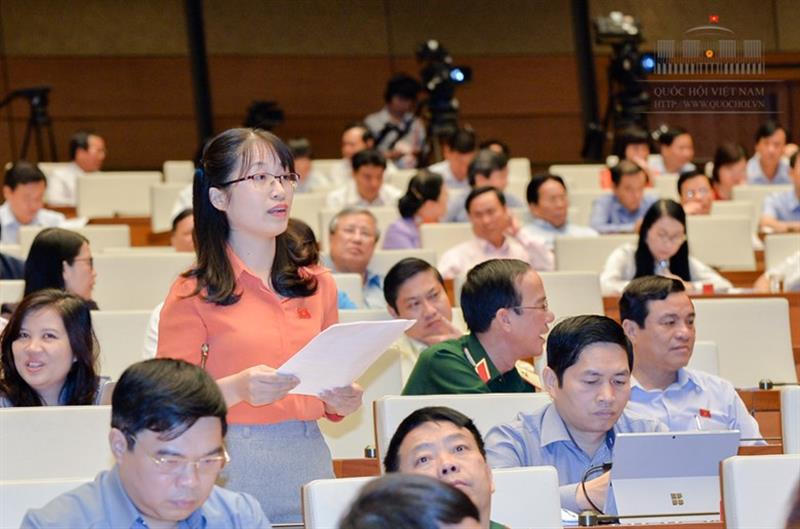 Cân nhắc thành lập Quỹ bảo vệ và phát triển nguồn lợi thủy sản
