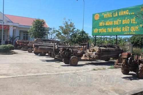 Phát hiện nhiều sai phạm tại Ban Quản lý rừng phòng hộ Bắc Biển Hồ, Gia Lai