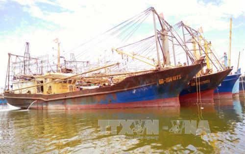 Thực hiện nghiêm Nghị định 67 về đóng mới, nâng cấp tàu cá
