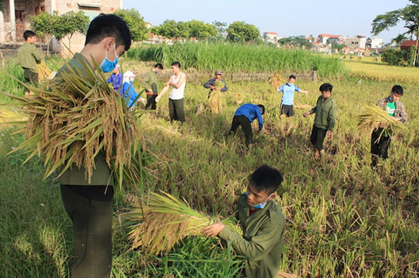 Dấu ấn Hành quân xanh năm 2017 của tuổi trẻ Học viện An ninh Nhân dân