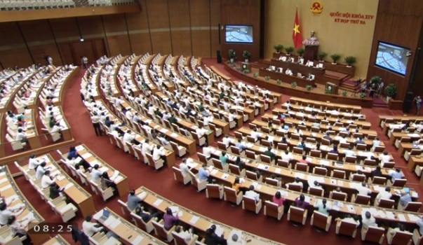 Bảo đảm quy định cụ thể các chính sách bảo vệ và phát triển rừng